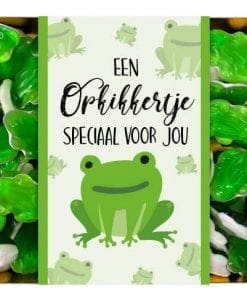 opkikkertje brievenbuscadeau