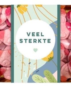 Katje-biggen-Veel-sterkte