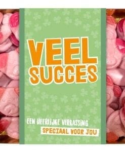 Katje-biggen-Veel-succes